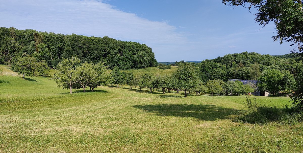 Streuobstwiesen von Wittlingen, © Bad Urach Tourismus