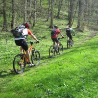 Mountainbiker in Hohenlohe, © Touristikgemeinschaft Hohenlohe, Künzelsau / Querfeldeinkurbler