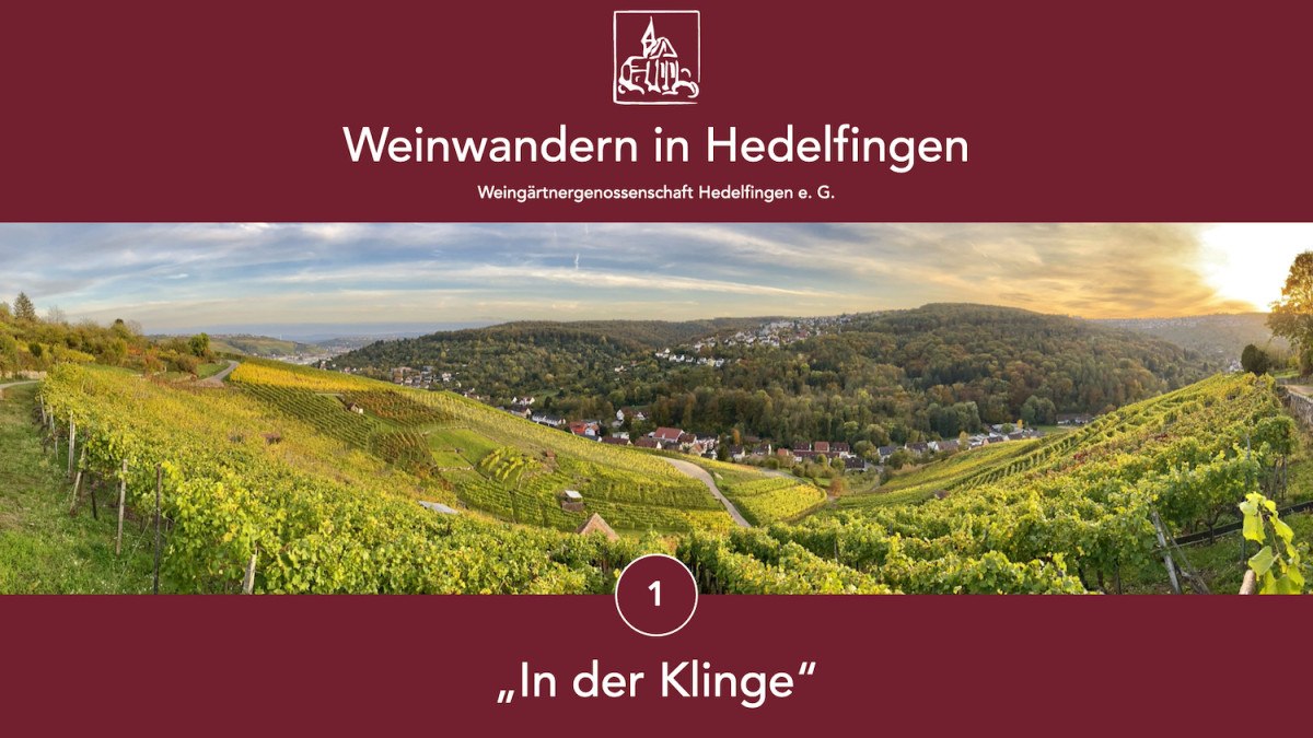 Weinwandern in Hedelfingen, © Lukas Alperowitz