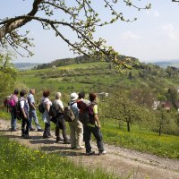 Büchelberg in Weil der Stadt, © Claudia Fy