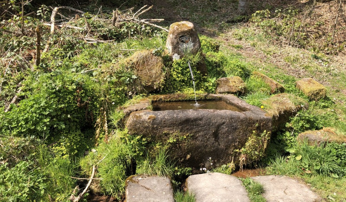 Brunnen am Weg, © Nördlicher Schwarzwald