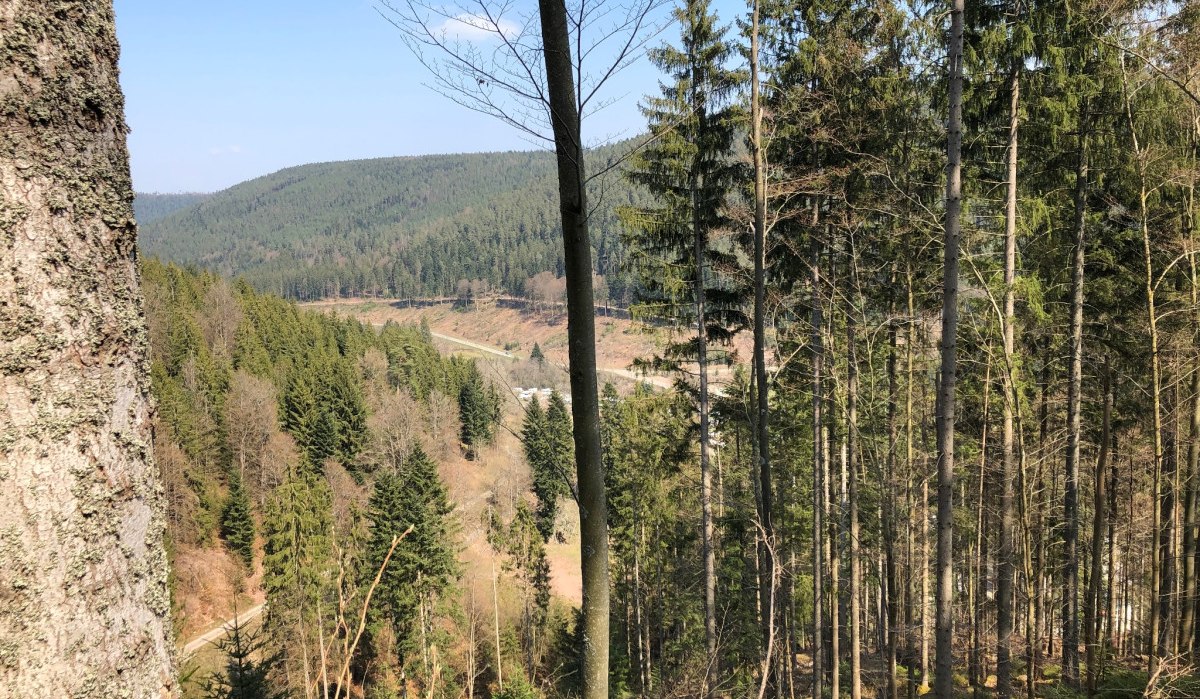 Aussicht auf das Kleinenztal, © Nördlicher Schwarzwald