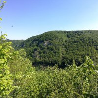 Von der ehemaligen Burgruine Blankenhorn hat man einen tollen Ausblick ins Grüne, © Bad Urach Tourismus