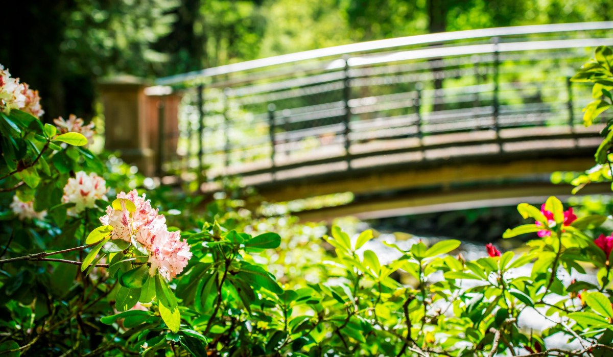 Kurpark Brücke, © Nördlicher Schwarzwald