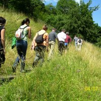 Wanderer beim Elisabethenberg, © Stadt Lorch