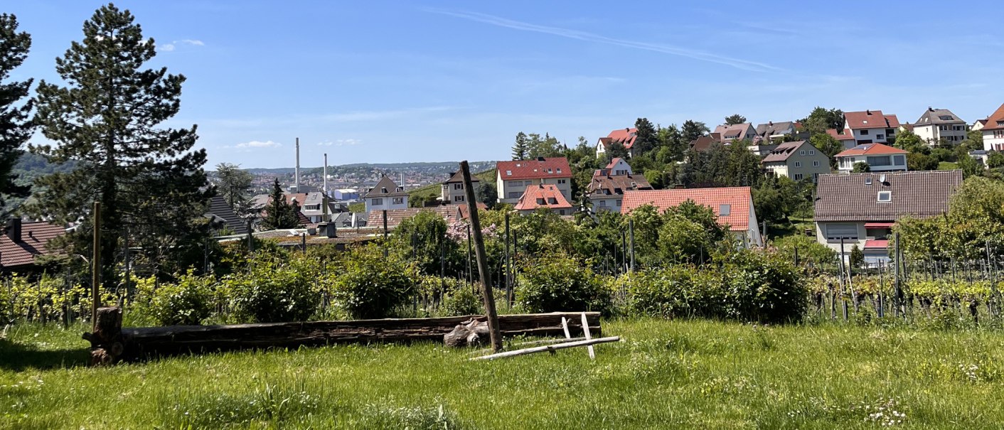 Garten und Aussicht, © Weinhof Zaiß