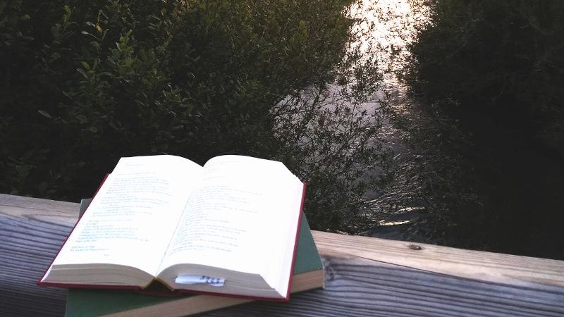 Naturführung: Poetischer Abendspaziergang in den Zugwiesen, © © Brigitte Häusler