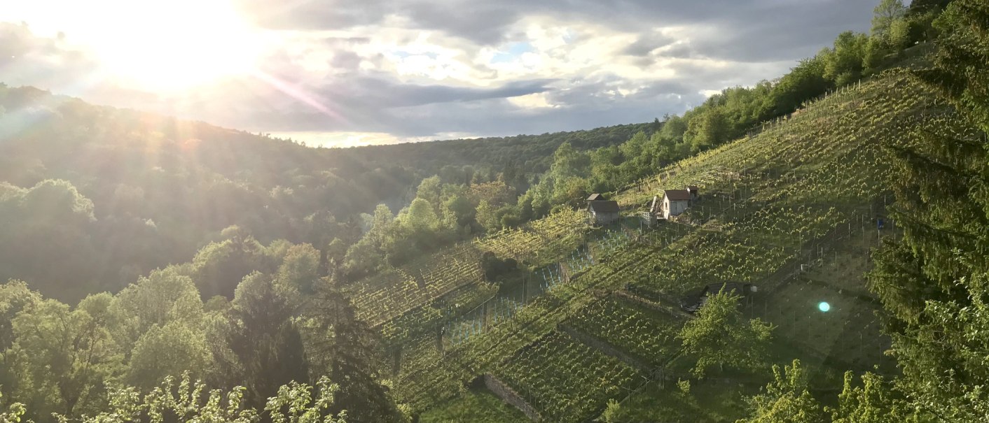 Dürrbachtal, © Vintage Winery Stuttgart