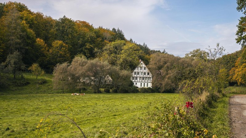 Schlechtmühle im Siebenmühlental, Leinfelden-Echterdingen, © SMG, Sarah Schmid