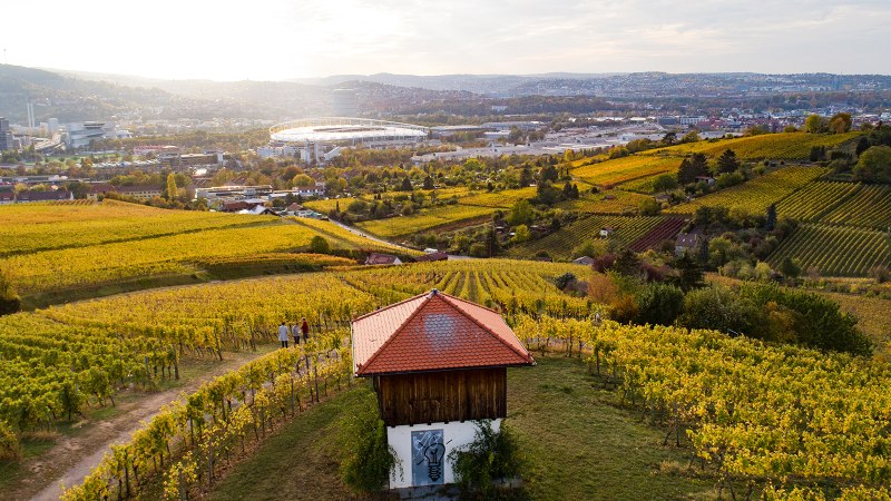 Weingut Wöhrwag Lage, © Weingut Wöhrwag