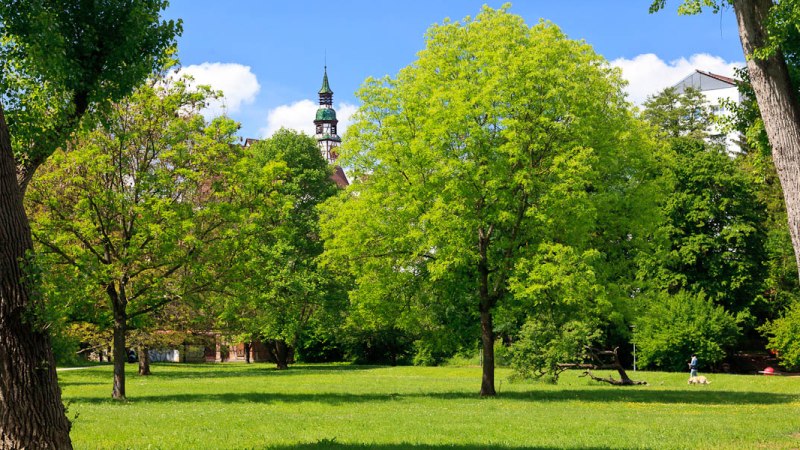 Kleine und die große Erleninsel, © WTM GmbH Fotograf Kai Koepf