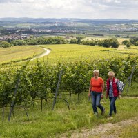 © Land der 1000 Hügel - Kraichgau-Stromberg