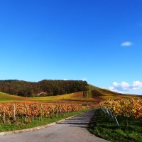 © Land der 1000 Hügel - Kraichgau-Stromberg