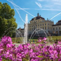 Blütenpracht vorm Schloss, © Stuttgart-Marketing GmbH, Achim Mende