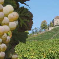 Burg Lichtenberg, © Stuttgart-Marketing GmbH