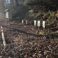 Eine Station vom Holzwurmpfad, © Nördlicher Schwarzwald