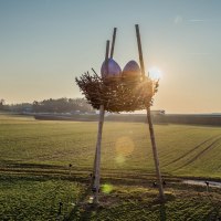 Vogelnest mit Eiern, © Natur.Nah. Schönbuch & Heckengäu