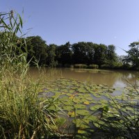 Hamberger See, © Land der 1000 Hügel - Kraichgau-Stromberg