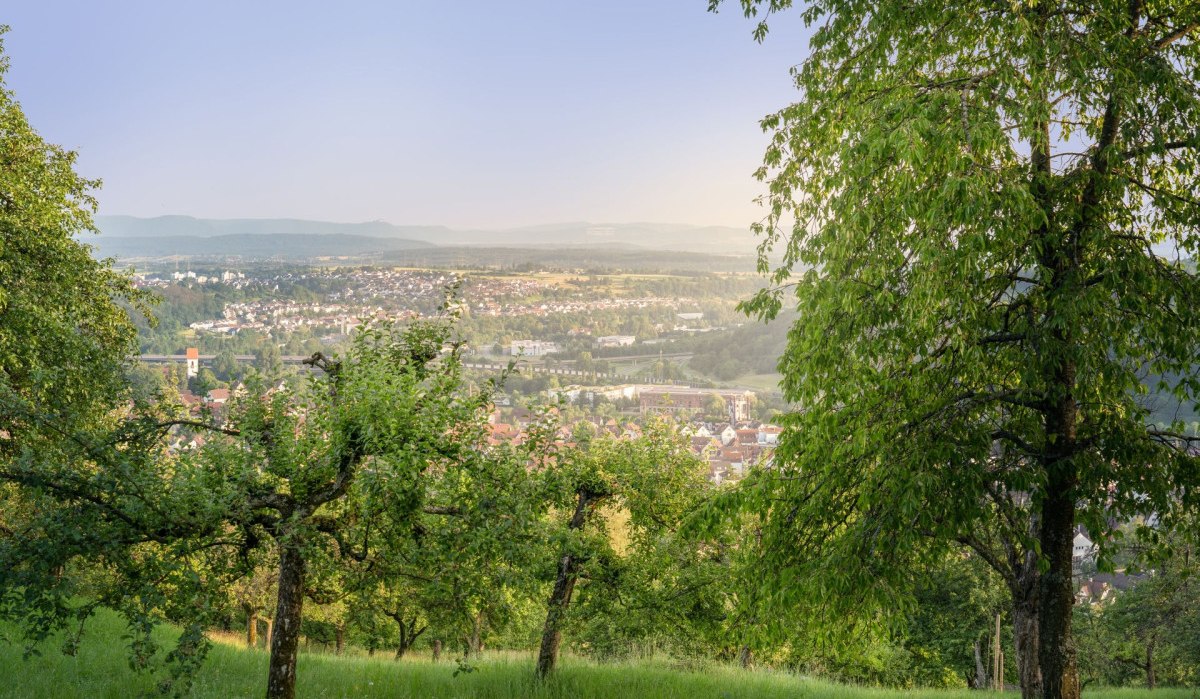 Ausblick von den Plochinger Streuobstwiesen, © Martina Denker