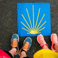 Sign shells for piligrims on Way of St James, Camino de Santiago de Compostela, © Q-vadis Redaktion