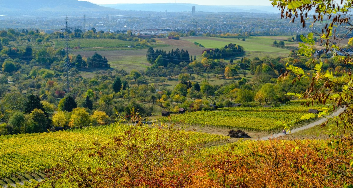 Ausblick vom Sörenberg, © WTM GmbH Waiblingen