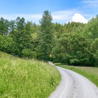 Wüstenrot | Rundwanderweg 1 | Naturpark Schwäbisch-Fränkischer Wald | Neulautern | Lautertal | Stocksberg | Greuthof | Stangenbach, © Tourismus im Weinsberger Tal