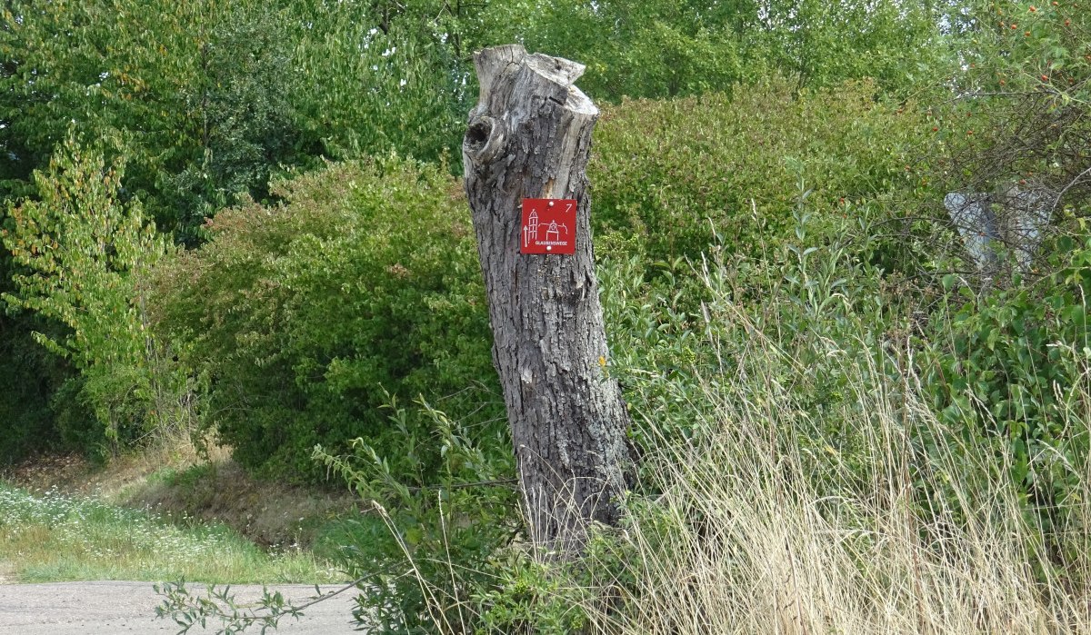 Am Naturschutzgebiet, © Foto: Cornelia Steinbach