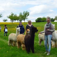 Alpaka Wanderung und Kindergeburtstage auf der Alpakawiese