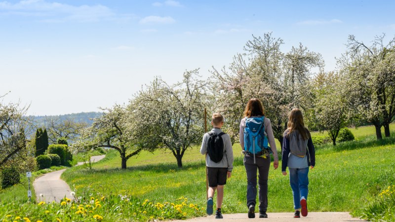 Wanderer auf dem Winnender Weinwanderweg, © Stadtverwaltung Winnenden