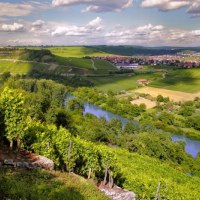 Hessigheim und die Felsengärten, © Felsengartenkellerei Besigheim eG