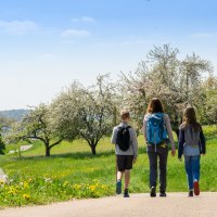 Wanderer auf dem Winnender Weinwanderweg, © Stadtverwaltung Winnenden