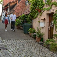 Besigheim Altstadtspaziergang, © SMG, Martina Denker