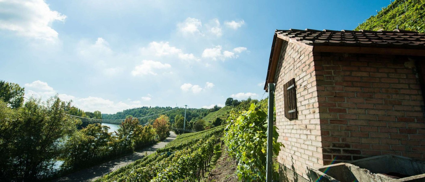 Weinberghütte, © Weingut Zaißerei