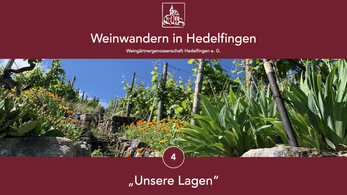 Weinwandern in Hedelfingen, © Lukas Alperowitz