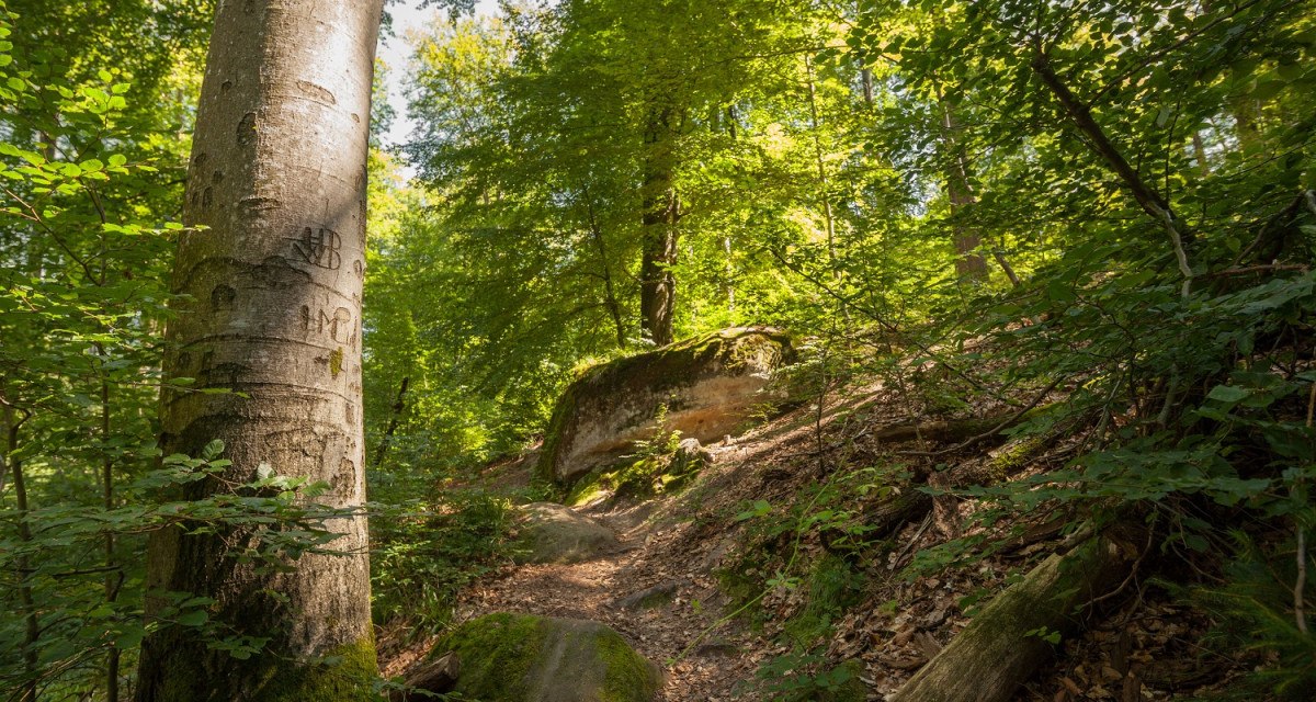 spiegelberg_bodenbachschlucht, © Q-vadis Redaktion