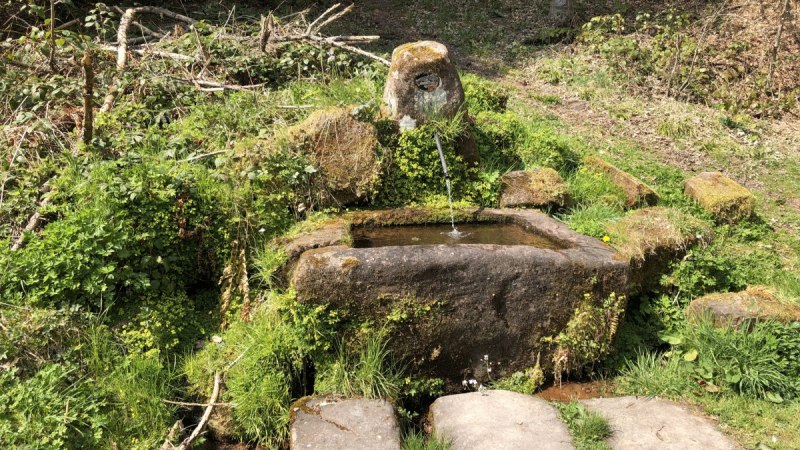 Brunnen am Weg, © Nördlicher Schwarzwald