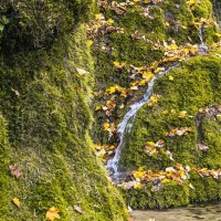 Gütersteiner Wasserfälle, Bad Urach, © SMG, Sarah Schmid