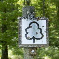 Beschilderung Arboretum Haslach, © Natur.Nah. Schönbuch & Heckengäu