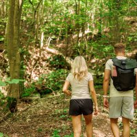 Im Wald, © Landkreis Göppingen