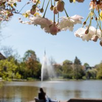 Klostersee, Sindelfingen, © SMG, Achim Mende