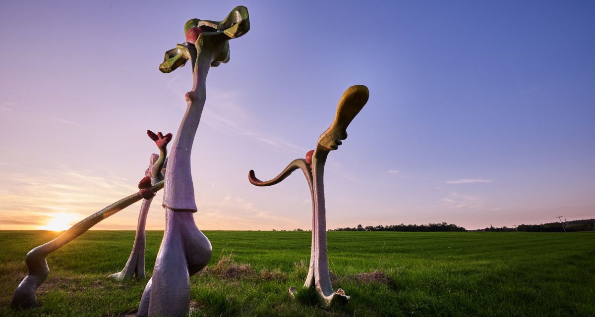 Hans Bäurle - Einsam bin ich nicht alleine, © Natur.Nah. Schönbuch & Heckengäu