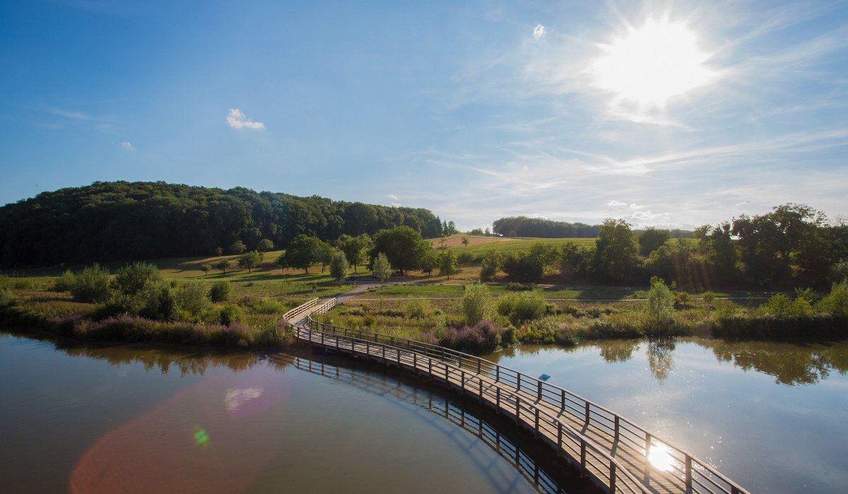 Zugwiesen Ludwigsburg, © Tourismus und Events Ludwigsburg