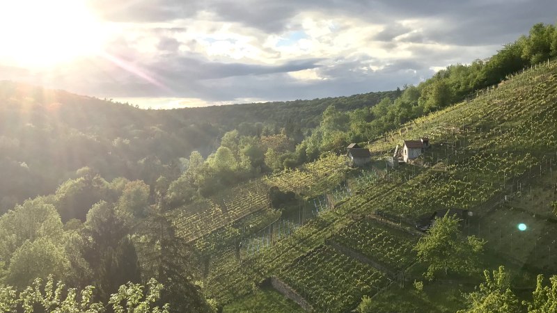 Dürrbachtal, © Vintage Winery Stuttgart