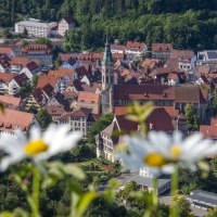 Blick auf die St. Amanduskirche