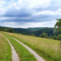 Wüstenrot Rundwanderweg 3 | Wald- und Feldwege | Weinsberger Tal, © Tourismus im Weinsberger Tal