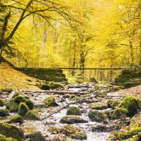 Monbachtal, Bad Liebenzell, © SMG, Sarah Schmid