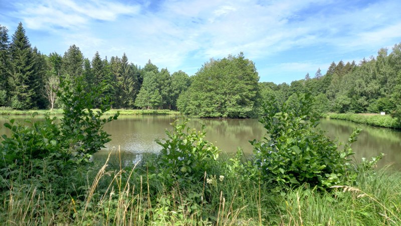 Haspelsee mit Uferlandschaft in Gaildorf Rundwanderweg 6