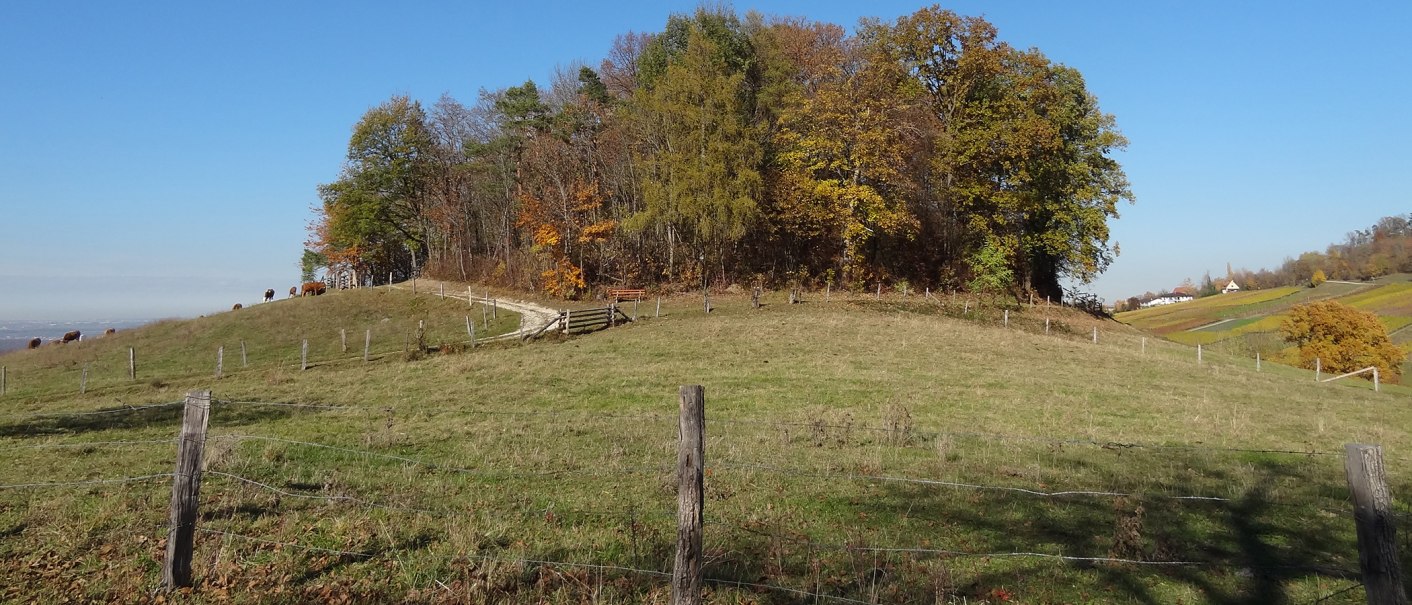 Hohbölle Beuren, © Kurverwaltung Beuren