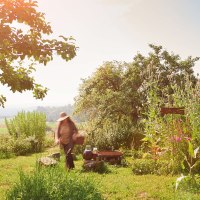 Schwäbischer Wald, © Stuttgart-Marketing GmbH