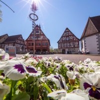 Plochingen, © Stuttgart-Marketing GmbH, Achim Mende